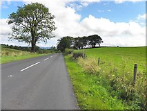 H3873 : Gillygooly Road, Cloghog Upper by Kenneth  Allen