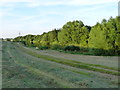 Cut hay and a large pool in the valley of the Claverley Brook