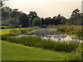 SJ9822 : River Sow, Shugborough Park by David Dixon