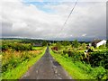 Lisnarable Road