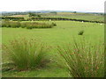 Looking southeast from Greyrigg Farm