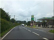 SY8997 : BP filling station by A31 in Winterborne Zelston by David Smith
