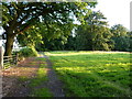 Bridleway near Rookery wood