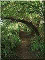 Footpath to Iford