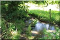 Stepping Stones, Chedworth Stream