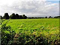 Lisnacreaght Townland