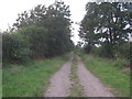 Northcroft Lane near Collingham