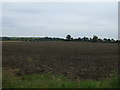 Farmland, Croydon, Cambs.