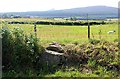 Coronation Stone, Oyne Fork