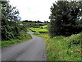 H6529 : Leck Road, Tullygillen by Kenneth  Allen