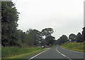 Entrance to Dancliff Plantation from A59