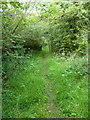 Bridleway north of Mere Lane Farm