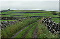 Farm track and fields