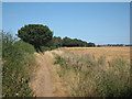 Bridleway towards Hawe Shave