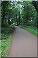 Road ascending Bredon Hill