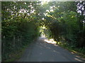 Longend Lane, facing Collier Street