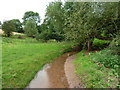 The sandy bed of the Llanerch Brook, west of Llangarron