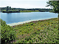 View from bird hide, Bewl Water