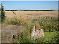 Bridge and field by North Stream