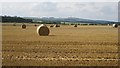 Round bales, Roxburgh