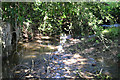 Guilsfield Brook running through Fron-y-Fele