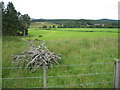 Pastures near Feith Mhor