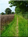 Footpath towards Wisborough Green from the east