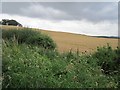 Arable land, Sunlawshill