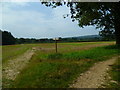 Bridleway junction at Harsfold Hanger