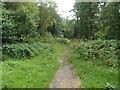 Riverside path heads away from Church Lane, Cwmbran