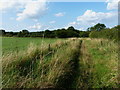 Bridleway towards Fullmoor Wood