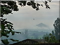 The last swallow of summer 2012 at Pentre-wylan farm