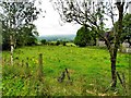 Glasmullagh Townland