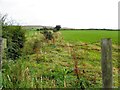 Lisnacreaght Townland