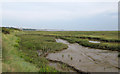 TQ8285 : Mudflats and Salt Marsh on Two Tree Island by Roger Jones