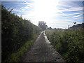 Footpath to Littlecote