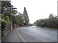 Primrose Lane - viewed from Primrose Bank