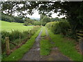 SO2243 : Entrance drive to Longlands near Clyro by Jaggery