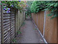 Footpath to Pyrford Common