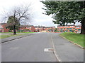 Folly Lane - looking towards Lady Pit Lane