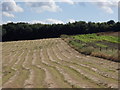 Fields near Sutton Scarsdale