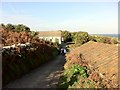 The lane from Higher Town to the Harbour