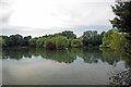 Marks Hall Fishery