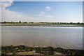 River Roach at Low Tide