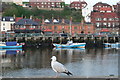 Whitby Merchant Seamen