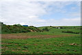 Field, Broadley Farm