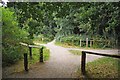 Footpath Junction in Darrick Woods