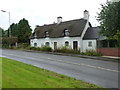 The Last Thatched Cottage