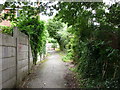 A path at Haigh Croft, Royston