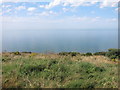 Cliff slope, Bishopstone Glen